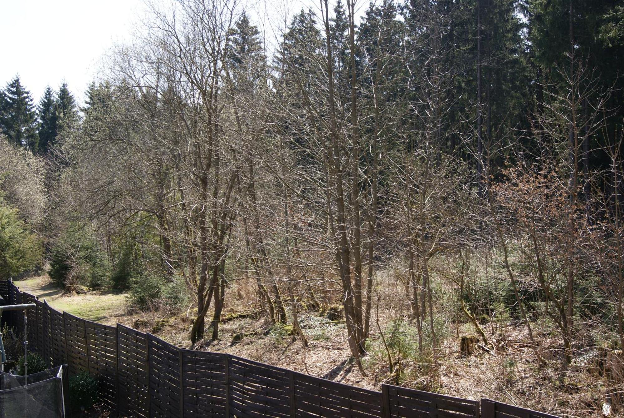Ferienwohnung Schmidt Braunlage Zimmer foto